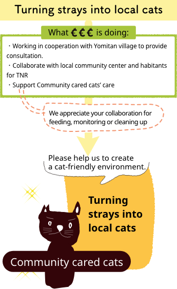 Turning strays into local cats
