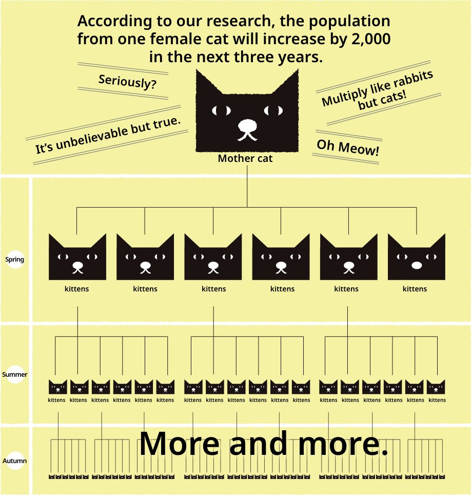 According to our research, the population from one female cat will increase by 2,000 in the next three years.
